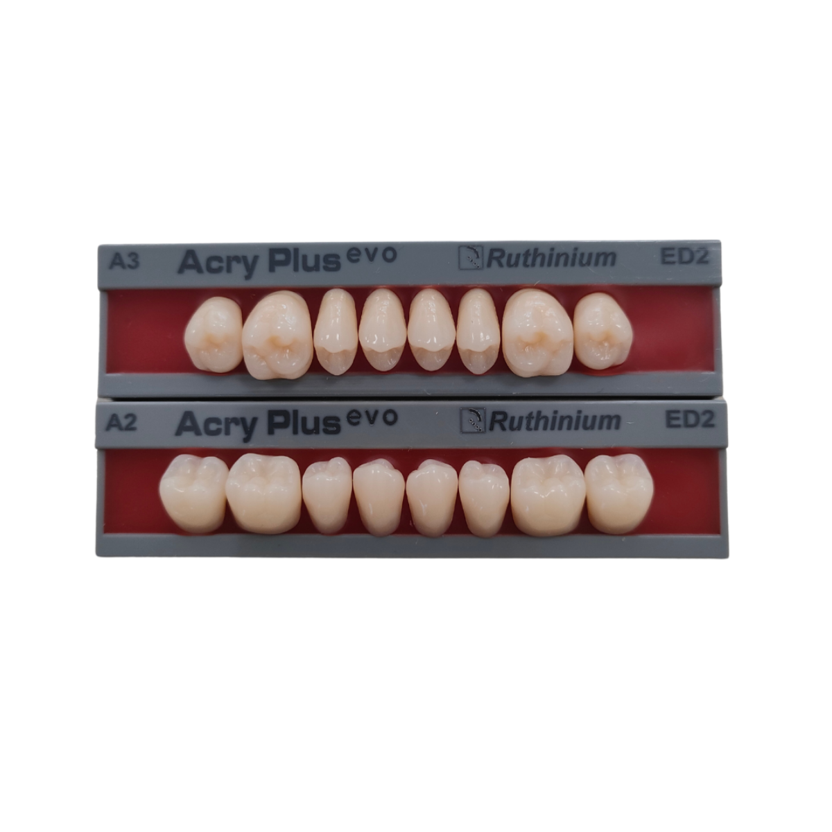 DENTI ACRYPLUS EVO MOLARI x8